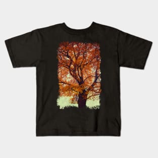 Beech Tree In Fall Colors Kids T-Shirt